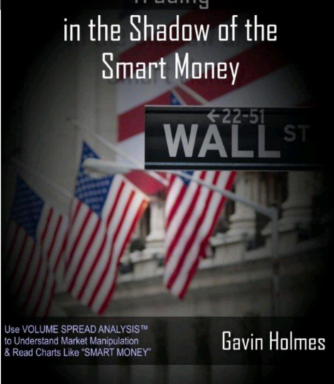 【金融交易书籍】在聪明钱的阴影下交易丨Trading In The Shadow of The Smart Money-pdf-α阿尔法Trader