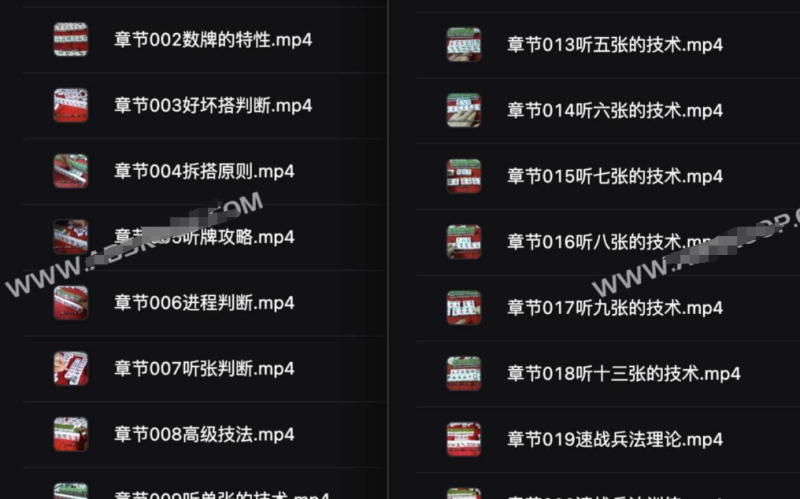 刘坚强 麻将学技术训练与技巧(完结)-α阿尔法Trader