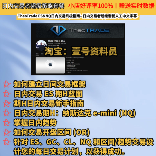 TheoTrade ES&NQ日内交易终极指南– 日内交易者超级套餐-α阿尔法Trader