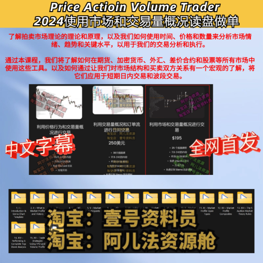 【外汇策略-价格行为】Price Actioin Volume Trader 2024 外汇黄金使用市场和交易量概况读盘做单-α阿尔法Trader