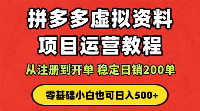 拼多多开店运营课程： 蓝海变现玩法，轻松实现睡后收入 零基础小白也可…-α阿尔法Trader