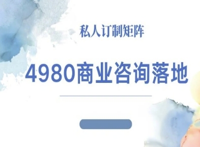 4980商业咨询师落地课程-ip运营高客单教程-α阿尔法Trader