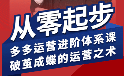 海神·拼多多运营进阶系统课(更新9月)-α阿尔法Trader