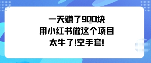 一天挣了9张用小红书做这个项目太牛了，空手套-α阿尔法Trader