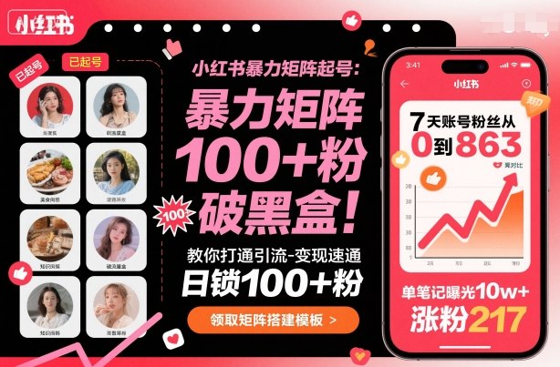 小红书暴力矩阵起号,教你打通引流-变现速通,日锁100+粉,破流量黑盒-α阿尔法Trader