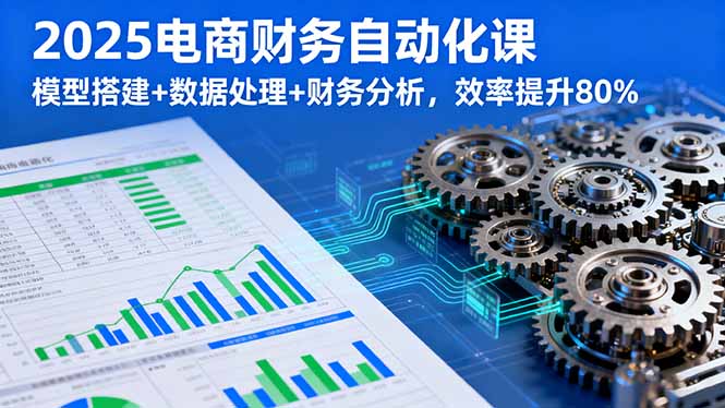 2025电商财务自动化课，模型搭建+数据处理+财务分析，效率提升80%-α阿尔法Trader