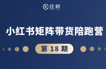 盗坤·抖音小红书视频号短视频带货与直播变现(11-18期)-α阿尔法Trader
