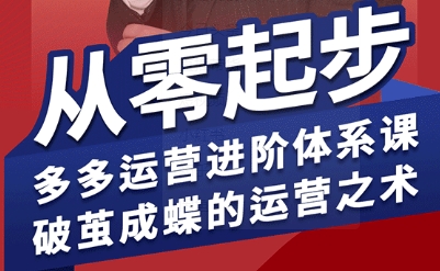 拼多多运营进阶系统课，从零起步，多多运营进阶体系课，破茧成蝶的运营之术(更新9月)-α阿尔法Trader