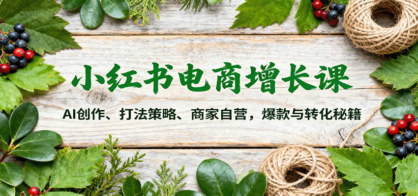 小红书电商增长课：AI创作、打法策略、商家自营，爆款与转化秘籍-α阿尔法Trader