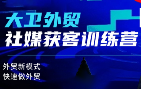 大卫老师·外贸社媒获客独家训练营(更新10月)-α阿尔法Trader