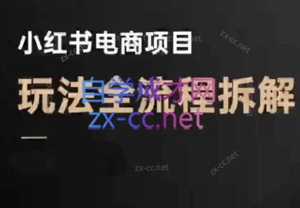 菲菲老师·小红书电商玩法(更新9月)-α阿尔法Trader