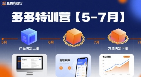 多多特训营，产品决定上限，方法决定下限，各种玩法技巧落地实操(更新)-α阿尔法Trader
