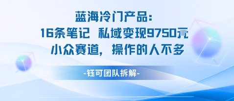 蓝海项目：16条笔记私域变现9750米小众赛道操作的人不多-α阿尔法Trader