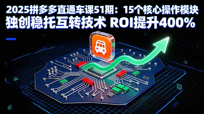 2025拼多多直通车课51期：15个核心操作模块 独创稳托互转技术 ROI提升400%-α阿尔法Trader