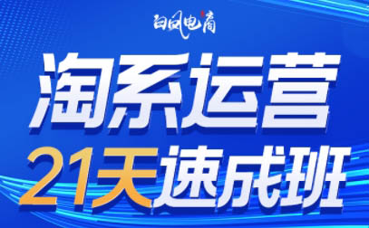 白凤电商·淘系运营21天速成班(更新9月)-α阿尔法Trader